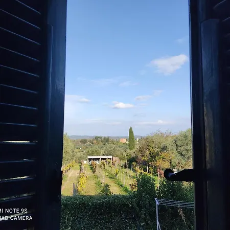 Apartmán Holiday House I Colli Pisani